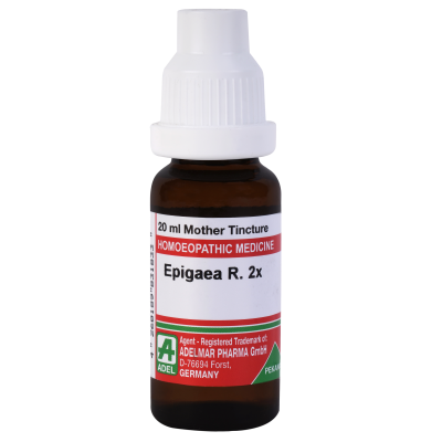 Epigaea Repens 2X (20ml)